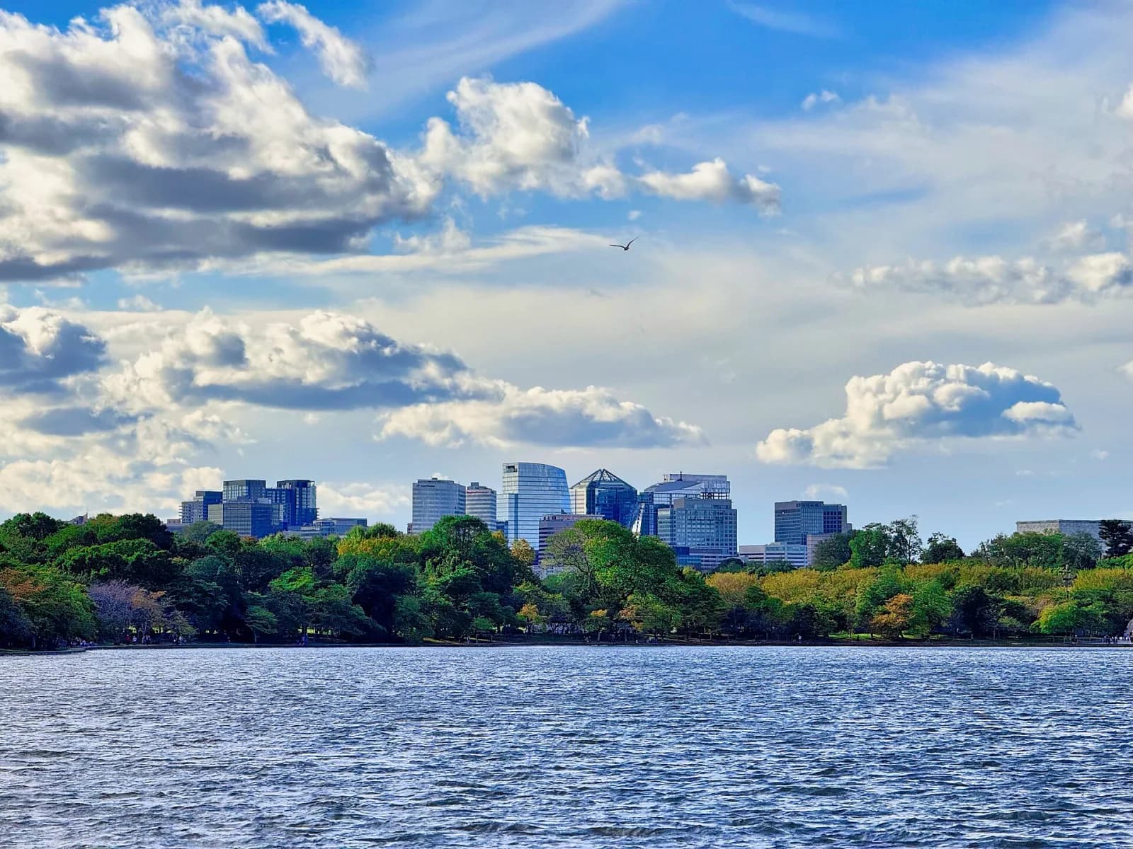 Arlington, Virginia skyline — Rosslyn and Crystal City corridor