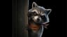 Ruckus the Raccoon
