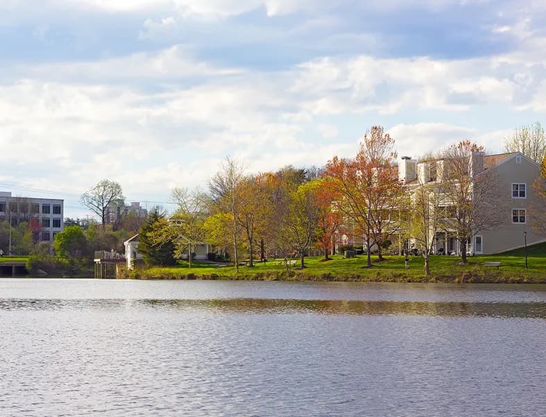 Great Falls Border neighborhood, McLean VA — property management