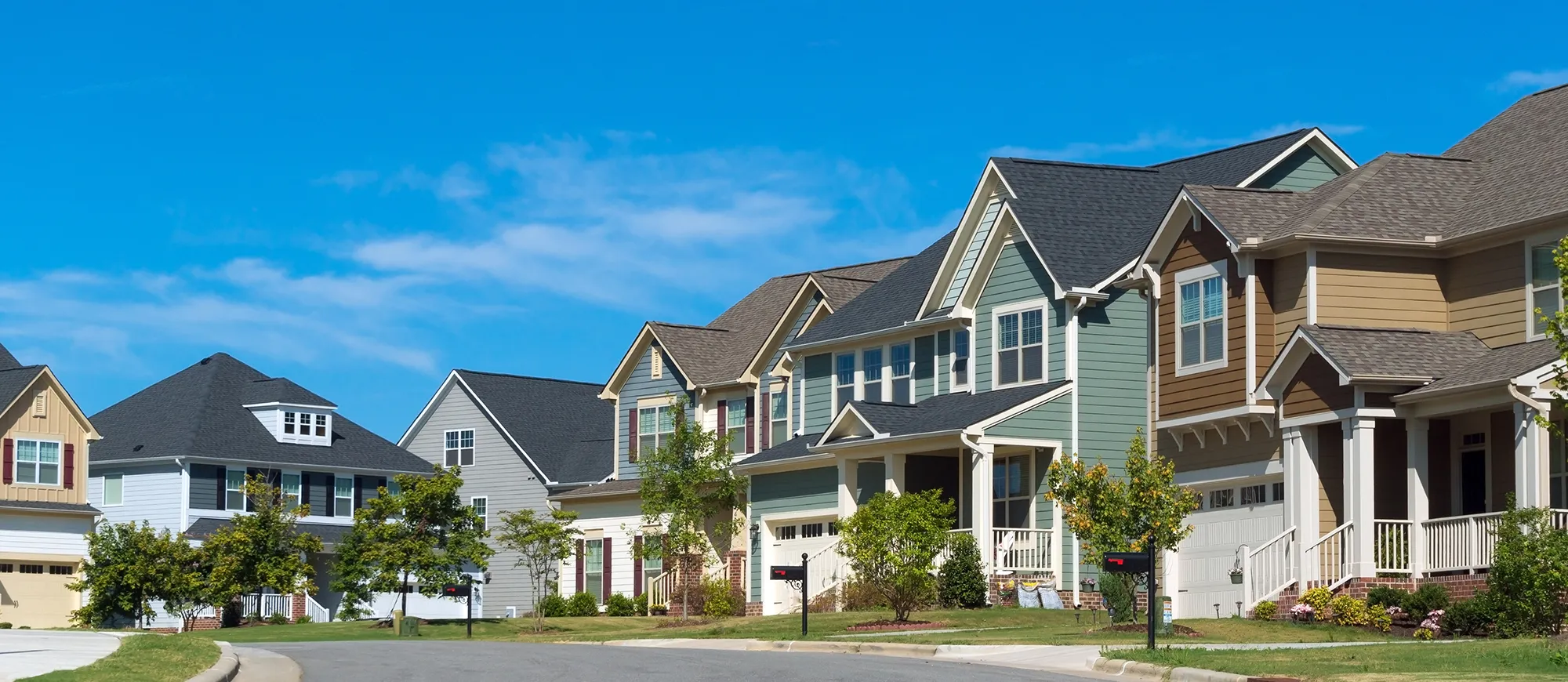 About Banner Image 1